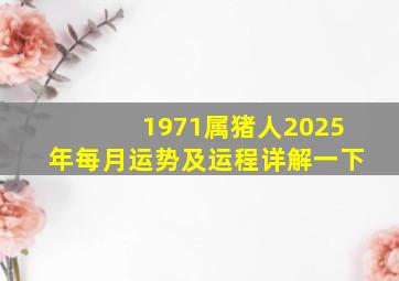 1971属猪人2025年每月运势及运程详解一下