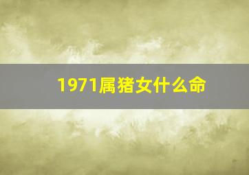 1971属猪女什么命