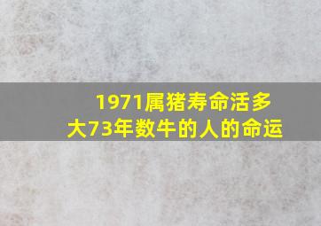 1971属猪寿命活多大73年数牛的人的命运