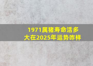 1971属猪寿命活多大在2025年运势咋样