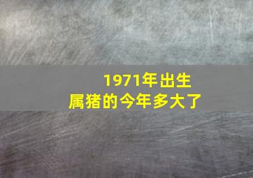 1971年出生属猪的今年多大了