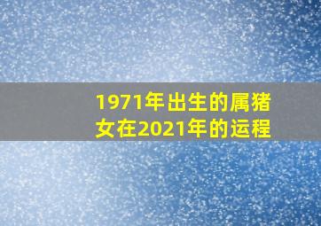 1971年出生的属猪女在2021年的运程