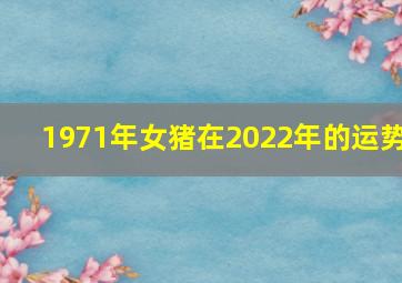 1971年女猪在2022年的运势