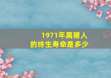 1971年属猪人的终生寿命是多少