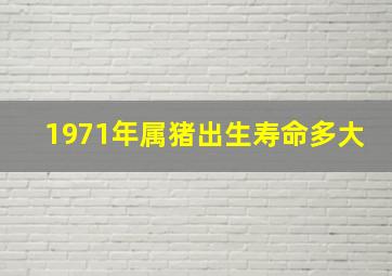 1971年属猪出生寿命多大