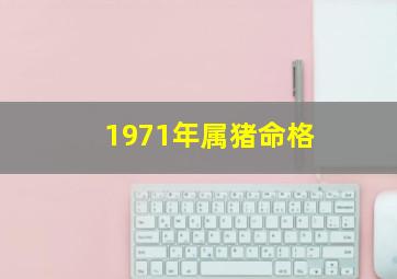 1971年属猪命格