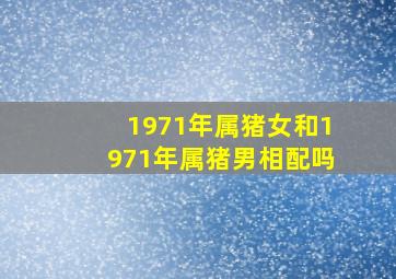 1971年属猪女和1971年属猪男相配吗