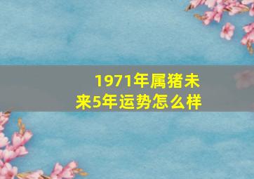 1971年属猪未来5年运势怎么样