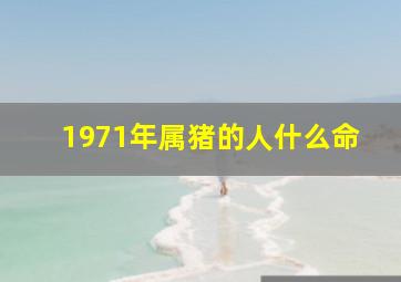 1971年属猪的人什么命