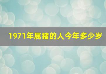 1971年属猪的人今年多少岁