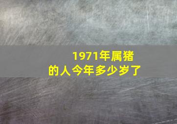 1971年属猪的人今年多少岁了