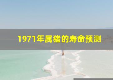 1971年属猪的寿命预测