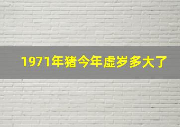 1971年猪今年虚岁多大了