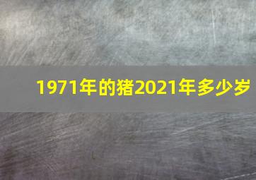 1971年的猪2021年多少岁