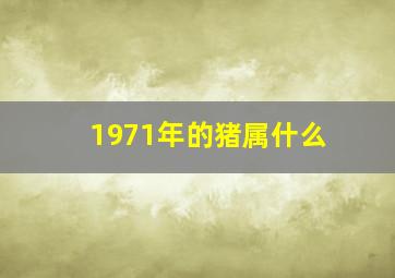 1971年的猪属什么