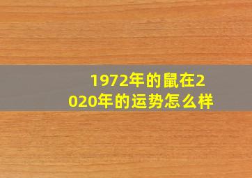 1972年的鼠在2020年的运势怎么样