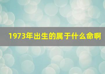 1973年出生的属于什么命啊