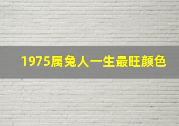 1975属兔人一生最旺颜色