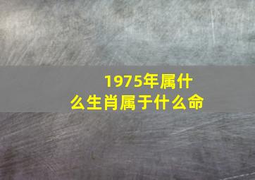 1975年属什么生肖属于什么命