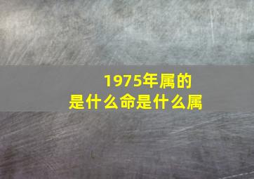 1975年属的是什么命是什么属