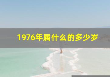 1976年属什么的多少岁