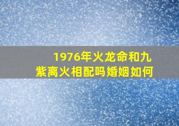 1976年火龙命和九紫离火相配吗婚姻如何