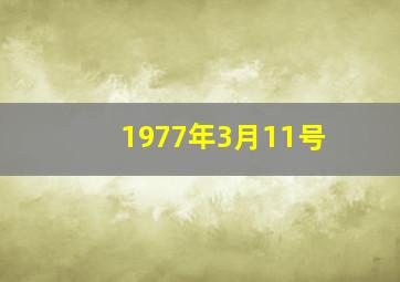 1977年3月11号