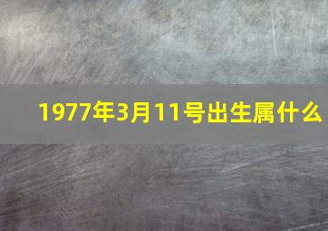 1977年3月11号出生属什么