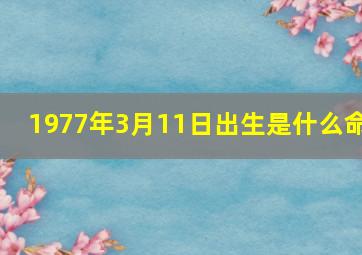 1977年3月11日出生是什么命