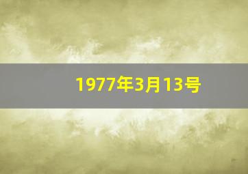 1977年3月13号