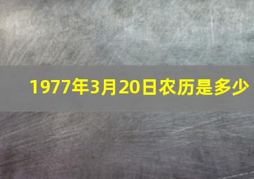 1977年3月20日农历是多少