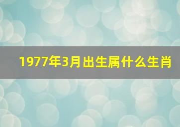 1977年3月出生属什么生肖