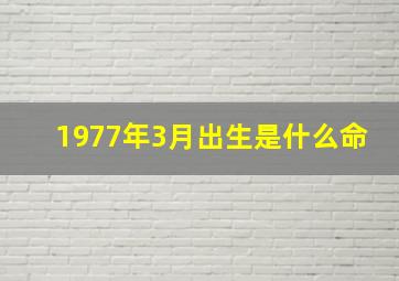 1977年3月出生是什么命