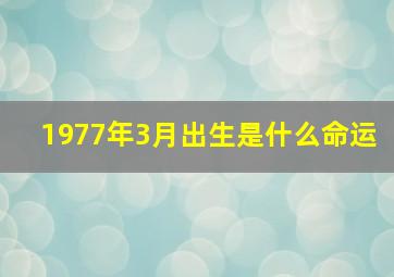 1977年3月出生是什么命运