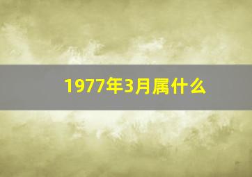 1977年3月属什么