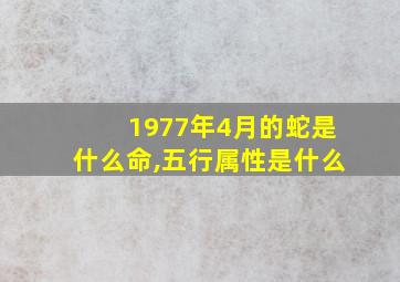 1977年4月的蛇是什么命,五行属性是什么