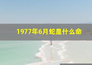 1977年6月蛇是什么命