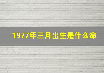 1977年三月出生是什么命