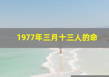 1977年三月十三人的命