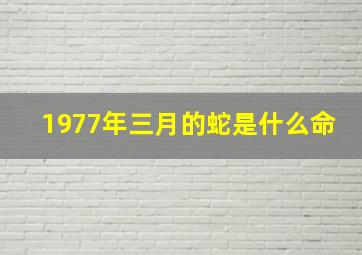 1977年三月的蛇是什么命