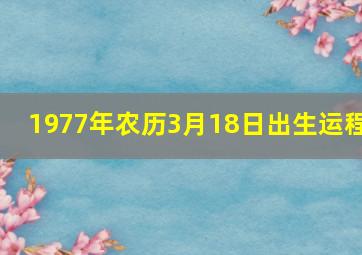 1977年农历3月18日出生运程