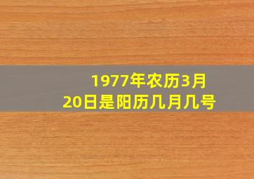 1977年农历3月20日是阳历几月几号