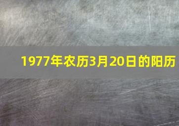 1977年农历3月20日的阳历