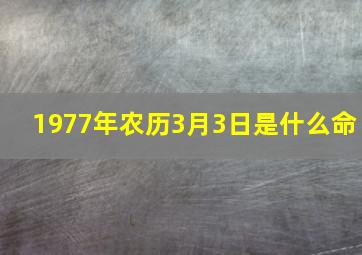 1977年农历3月3日是什么命