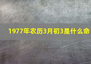 1977年农历3月初3是什么命