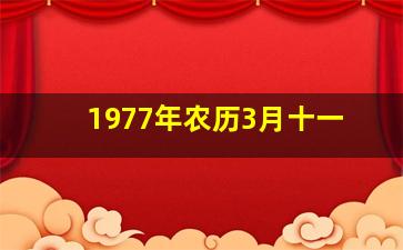 1977年农历3月十一