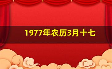 1977年农历3月十七