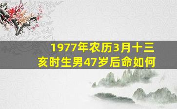 1977年农历3月十三亥时生男47岁后命如何