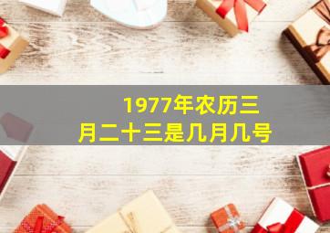 1977年农历三月二十三是几月几号