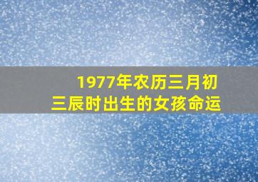 1977年农历三月初三辰时出生的女孩命运